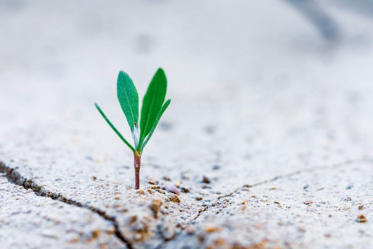 How to aid Student Growth in and Outside the Classroom How to aid Student Growth in and Outside the Classroom