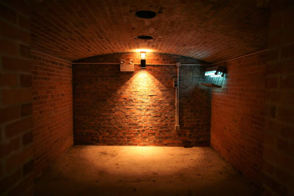 Tips to Make a Study Room in your Basement Tips to Make a Study Room in your Basement